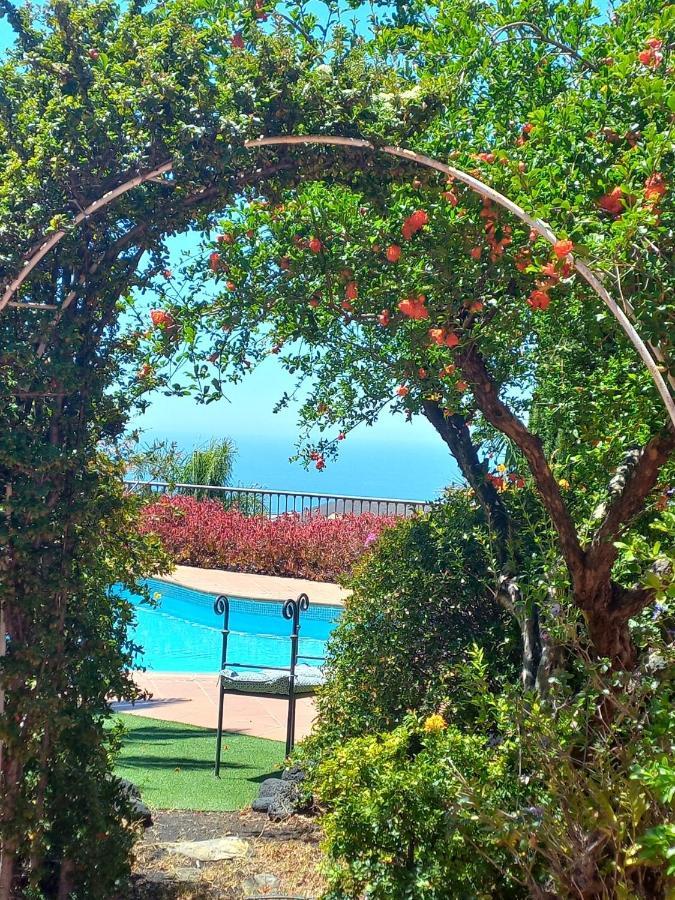 Villa Torres Los Llanos De Aridane Exterior foto